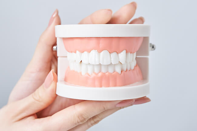 咬合(噛み合わせ)について